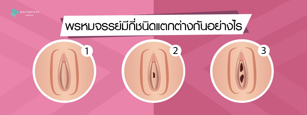 พรหมจรรย์มีกี่ชนิดแตกต่างกันอย่างไร