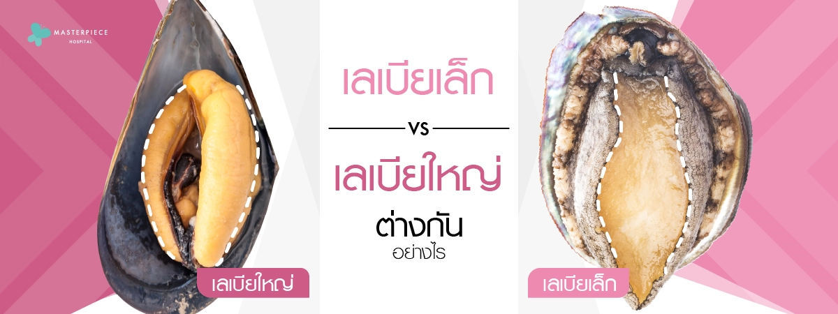 เลเบียเล็ก-vs-เลเบียใหญ่ต่างกันอย่างไร-1